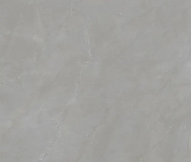 Laminale Pulpis Grey